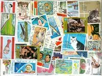 Ostatnia szansa Laos - 700 verschillende