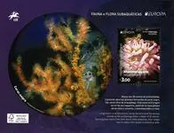 Rabat Madeira - Europa 2024 / onderwaterfauna en flora - Postfris souvenir velletje