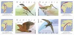 Wyprzedaż Namibië - Migratory birds - Postfrisse serie van 4