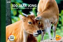 Promocja Nederland - 100 jaar Burgers Zoo - Prestige boekje