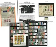 Nederland - Ongebruikt collectie 1906-66 veel gelegenheidsuitgiften Promocja