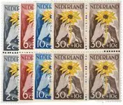 Nederland 1949 - NVPH 538-541 - Blok van 4 - Postfris Wyprzedaż