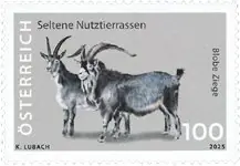 Zamów teraz Oostenrijk - Blue goat - Postfrisse postzegel