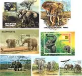 Najlepsza cena Olifanten - 7 souvenirvelletjes - Gestempeld