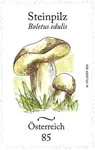 Popularny Oostenrijk 2021 - Steinpilz - Postfrisse postzegel
