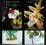 Orchidee St. Tome 4 souvenir velletjes Tani