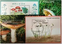 Paddestoelen 4 souvenir velletjes Promocja