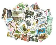 Reptielen - 100 verschillende Wyprzedaż