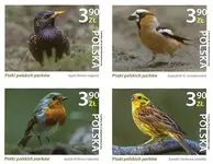 Polen - Vogels van Poolse parken - Postfrisse serie van 4 Niska cena