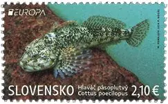 Tylko dziś Slowakije - EUROPA 2024 Underwater Fauna & Flora - Postfrisse postzegel
