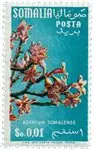 Zamów teraz Somalië - MICHEL 297 - Postfris