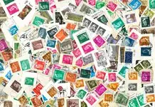 Kup teraz Spanje - 100 g kilowaar