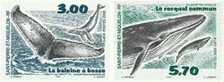 St. Pierre & Miquelon - Whales - Postfrisse serie van 2, gravure Tani