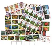 Kup teraz Suriname (Onafhankelijk) - Jaargang 2008 - Postfris