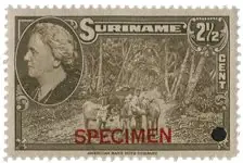 Suriname 1945 - NVPH 223 - Postfris Wysoka jakość