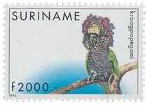 Suriname 1996 - NVPH 878 - Postfris Tylko dziś
