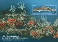 Kup teraz TAAF - Frans Antarctica - Marine life - Postfris souvenirvelletje