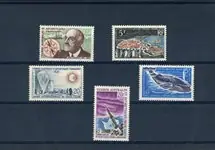 Najlepsza cena TAAF - Frans Austr. Antartc. Gebieden - Jaarset 1961-67 - Postfris