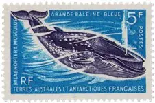 TAAF 1966 - YT 22 - Postfris Zwrot pieniędzy