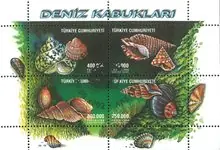 Turkije - Zeeschelpen - Gestempeld souvenirvelletje Rabat