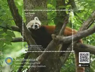 Vanuatu - Red panda - Postfris souvenirvelletje Oferta limitowana