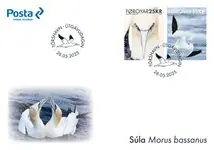 Zamów teraz Vogel / Jan-van-gent - FDC