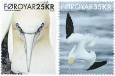 Vogel / Jan-van-gent Wysoka jakość