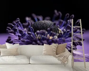 Nowość Panorama van het hart van een paarse anemoon