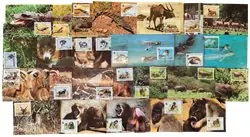 WWF - Pakket met maximumkaarten - 28 verschillende Oryginalny