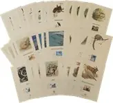 WWF - Pakketten met officiele proeven - 31 verschillende Bezpieczna płatność