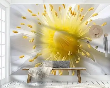 Up Close & Personal Nowość