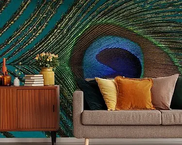 Ostatnia szansa Eyecatcher: Panorama van een pauwenveer met een gemêleerde turquoise achtergrond