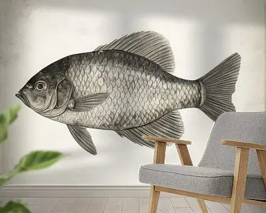 Glanzende Schubben Tylko dziś