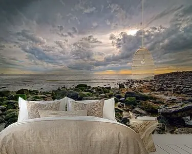 Rots kust Vlissingen Ekspresowa dostawa