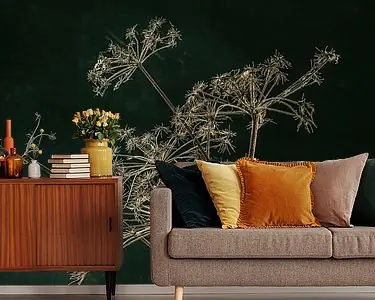 Gedroogde Bereklauw Tylko dziś