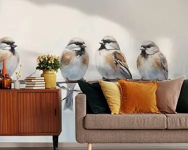 Szybka dostawa Mussen