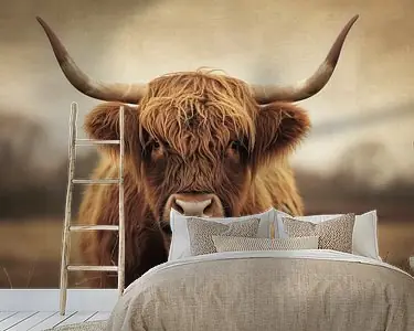 Highlander's Stare De Ziel van de Hooglanden Schotse hooglander Rabat