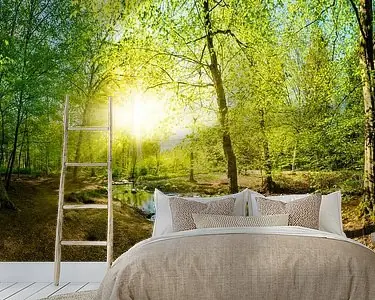 Niska cena Bos met beekje en zon