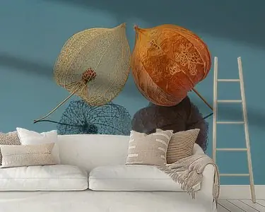 Twee lampionnetjes samen Tani