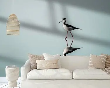 Spiegeling van Gratie Zwarte Ruiter in Stil Water Najlepsza cena