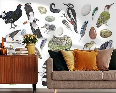 Popularny Het leven van vogels.