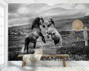 Wild en vrij Autentyczny