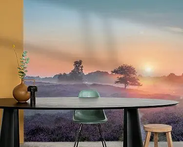 Gasterse Duinen met Flare paarse heide en mist Niska cena