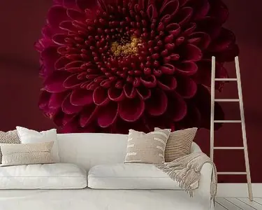 Wyprzedaż Rust en eenvoud: Stilleven met bloemen: de Chrysant