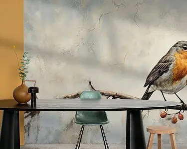 Roodborst | Roodborst Ekspresowa dostawa