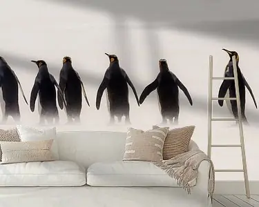 Kings going for a Walk Oferta