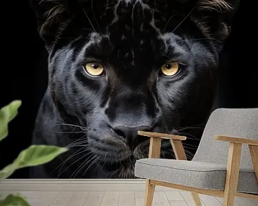 Zwarte panter Nowość