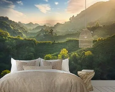 Tylko dziś Het ongelooflijke landschap van de Prosecco Hills. Italië