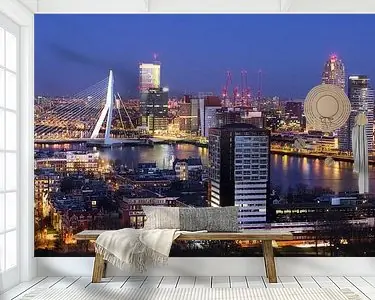 Skyline Rotterdam Kup teraz