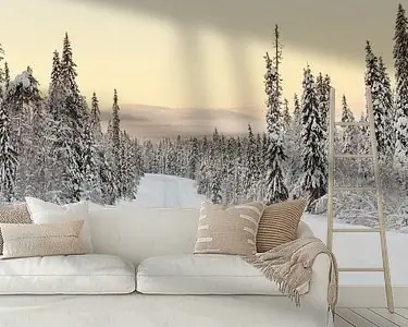 Winter landschap Finland Tani